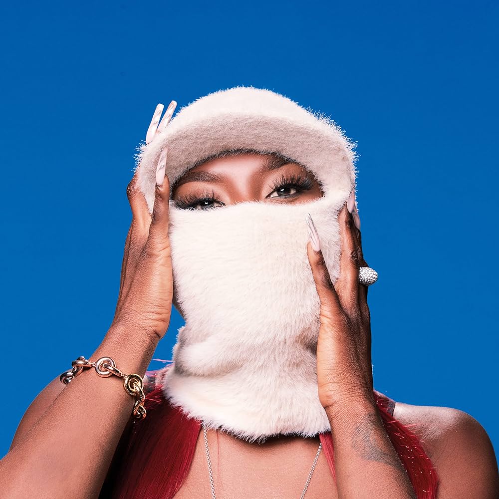 cover d'album.